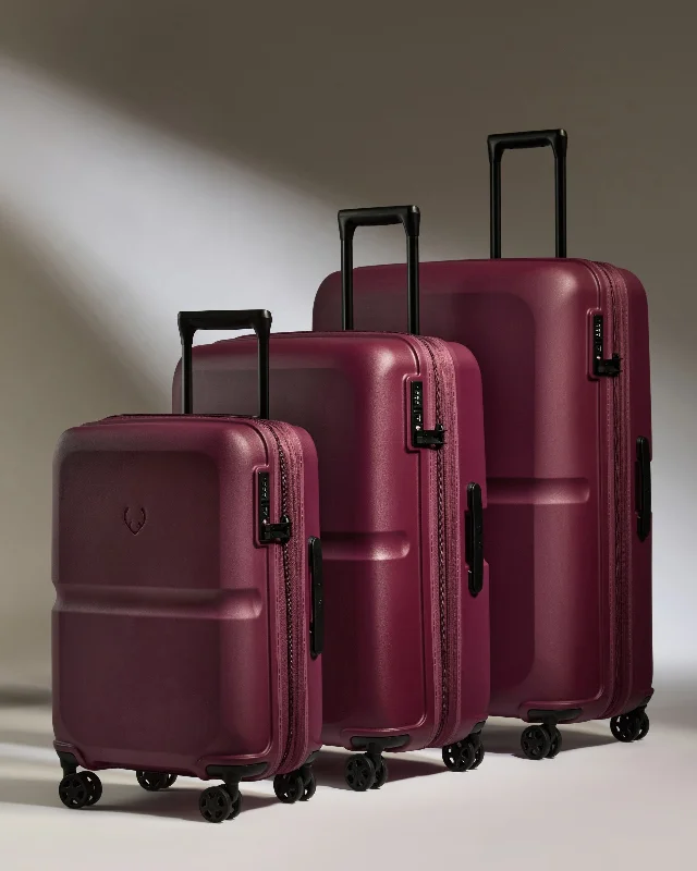 Travel - Size Toiletry Bottles with Leak - Proof Caps in ClearExpandable Carry-on Luggage Set in Heather Purple - Single Stripe